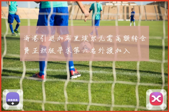 海港引进加布里埃尔无需高额转会费正积极寻求第六名外援加入