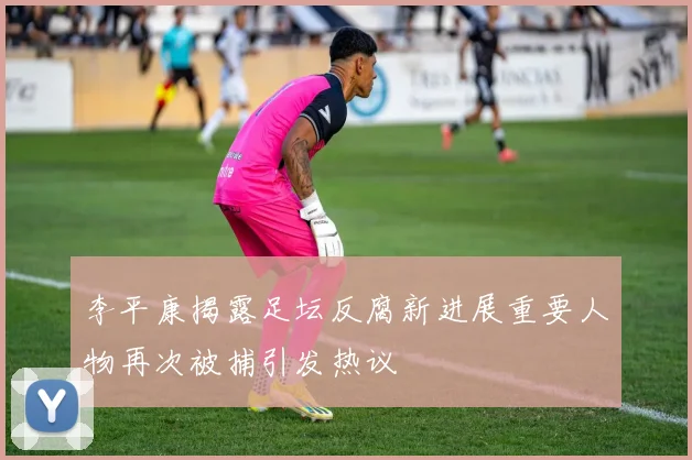 李平康揭露足坛反腐新进展重要人物再次被捕引发热议