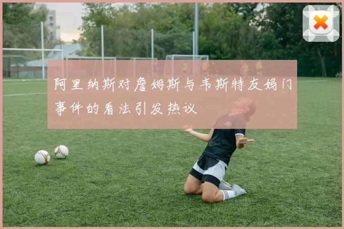 阿里纳斯对詹姆斯与韦斯特友妈门事件的看法引发热议